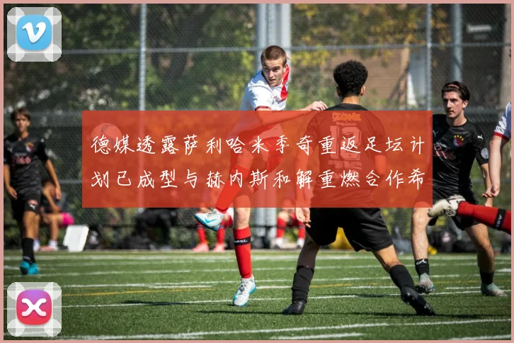 德媒透露萨利哈米季奇重返足坛计划已成型与赫内斯和解重燃合作希望