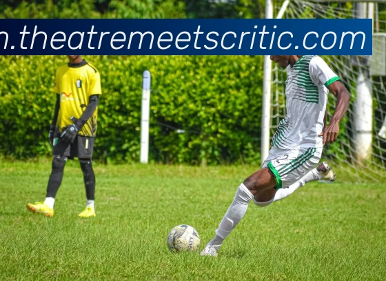 新皇冠app官网平台生态图